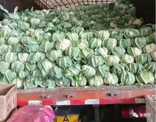 防疫情,保供应,匡山农产品综合交易市场为市民托稳 菜篮子