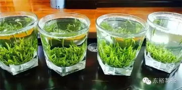 陕西东裕生物科技股份