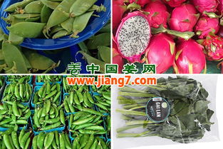 北美 春节将至,农产品供应充足