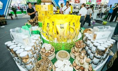 对接长三角市场!阜阳组团参加上海农交会