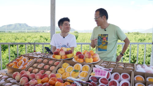 助农是个好赛道 这个夏天,大量农产品 涌入 直播间