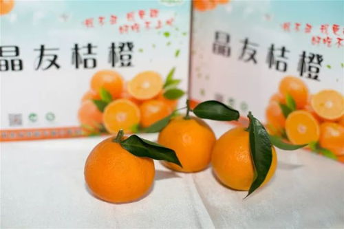 这个大事你来定 黄湾 网红 评选网络投票开始了
