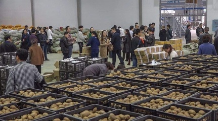 简化农产品的流通-互联网+电商