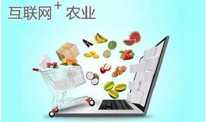 什么是农产品上行|农产品上行常见问题有哪些?_其它_网