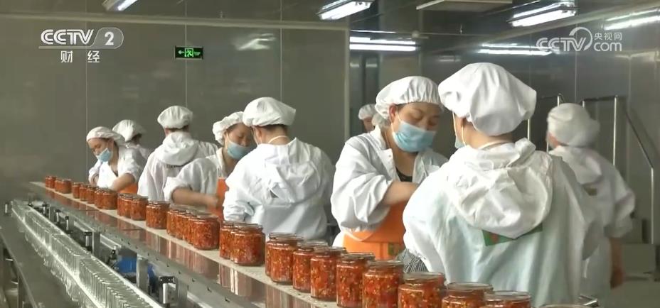 打造农产品加工业 提升“土特产”效益 全链条推进乡村特色产业
