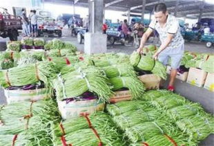 轩辕牧耕行走在农产品电商和批发市场之间 组图