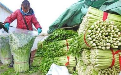 耕地面积不断缩减,农产品为何还会过剩?