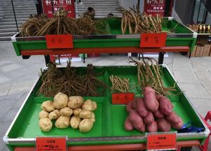 2018青海特色农产品产销对接会开幕