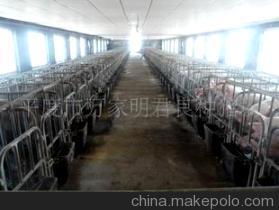 平度市万家明君良种猪场 从农产品代理到洗涤用品销售，探索多元业务发展