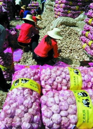 发改委设立市场价格监管处应对通胀预期，洗涤用品市场迎来监管新篇章