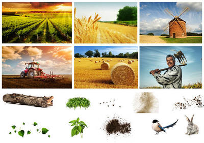 创意农产品宣传海报设计 日用品的新生