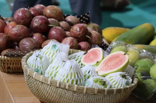 2018广东旅博会 玩转美丽乡村,邂逅全球魅力,明天精彩继续