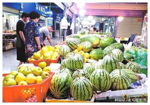 瓜农 请别让我太过吃亏 撕毁合同实在是无奈之举 农产品 中间商 网易订阅