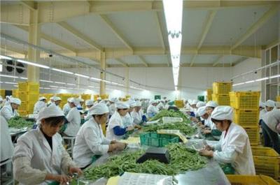农产品深加工的加工领域